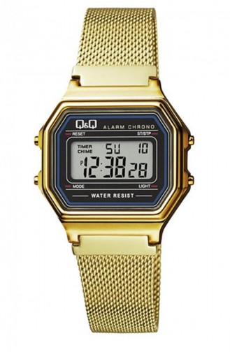 Gold Wrist Watch 173J027Y
