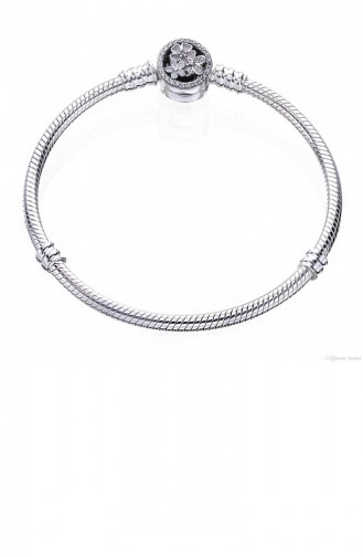 Bracelet Gris argenté 590744-20